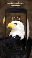 Fondo De Pantalla De Águila HD captura de pantalla 2