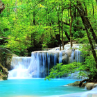 Forest Nature Wallpaper HD 图标