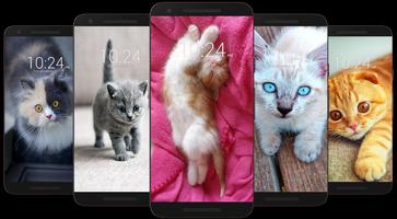 Kitten & Cute Cat Wallpaper HD gönderen