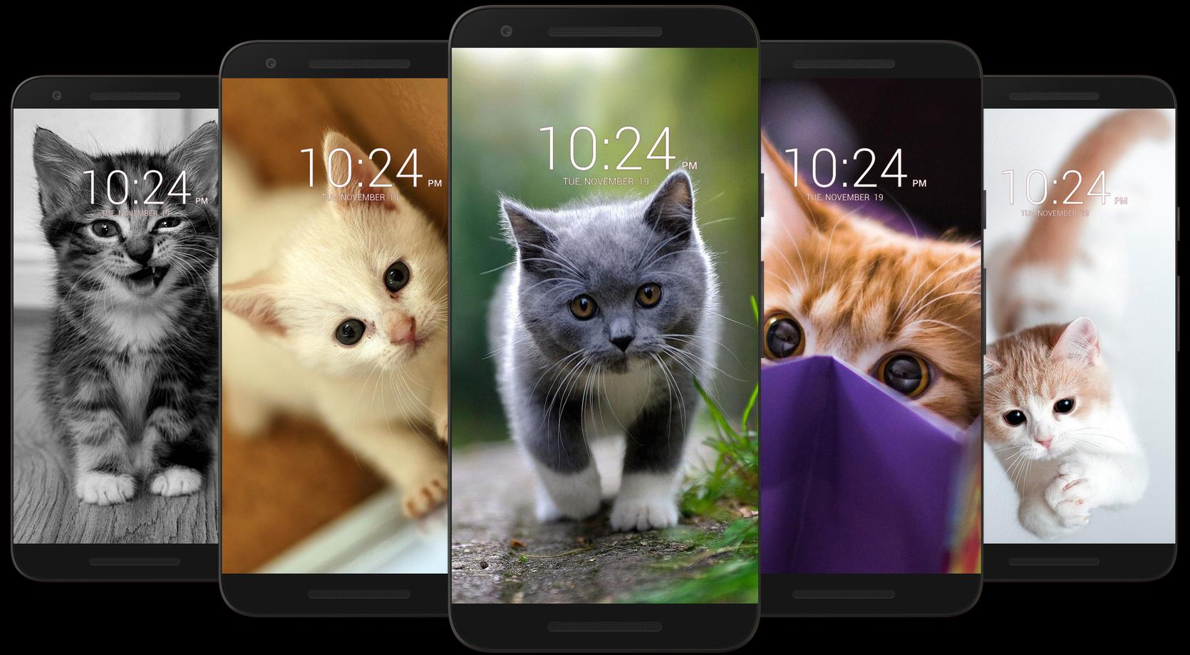 Chaton Et Chat Mignon Fond D Ecran Hd Pour Android Telechargez L Apk Chaton Et Chat Mignon Fond D Ecran Hd Pour Android Telechargez L Apk
