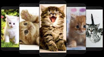 Kitten & Cute Cat Wallpaper HD Ekran Görüntüsü 2