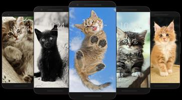 Kitten & Cute Cat Wallpaper HD Ekran Görüntüsü 3