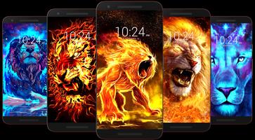 Lion Tapety HD plakat