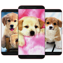 Fond D'Écran Chiot Et Chien HD APK