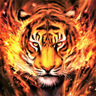 Tygrys Tapety HD I 4K ikona