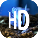 APK Premium Wallpaper HD (Offline)