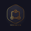 Premium Icon