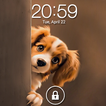 tela de bloqueio de cachorro