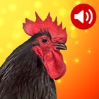 Animal Sounds icon