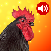 Animal Sounds آئیکن