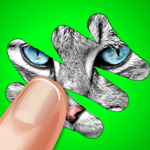 刮刮卡遊戲：動物測驗