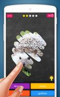 Jogo de raspar: Animais Quiz imagem de tela 1
