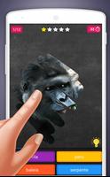 Jogo de raspar: Animais Quiz imagem de tela 3