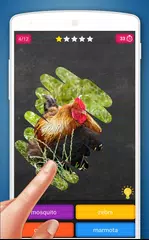 Baixar Jogo de raspar: Animais Quiz APK