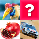 APK بازی حافظه