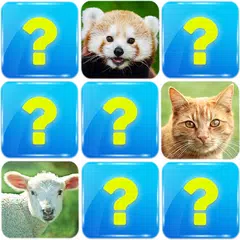Matching Game: Animals APK download