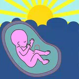 Pregnancy Assistant. Pregnancy Calendar. APK
