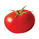 Mamma Mia Oxford APK