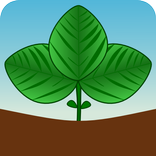 MIPSoja - Precisagro