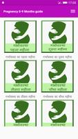 Pregnancy 0-9 Months guide Affiche