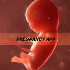 My Week By Week Pregnancy App أيقونة