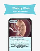 My Week By Week Pregnancy App Ekran Görüntüsü 2