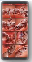 اسابيع الحمل بالصور captura de pantalla 3