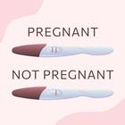 Pregnancy Test Guide icône