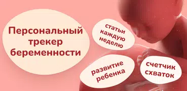 Календарь беременности - Momly