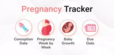 Pregnancy Calculator & Tracker