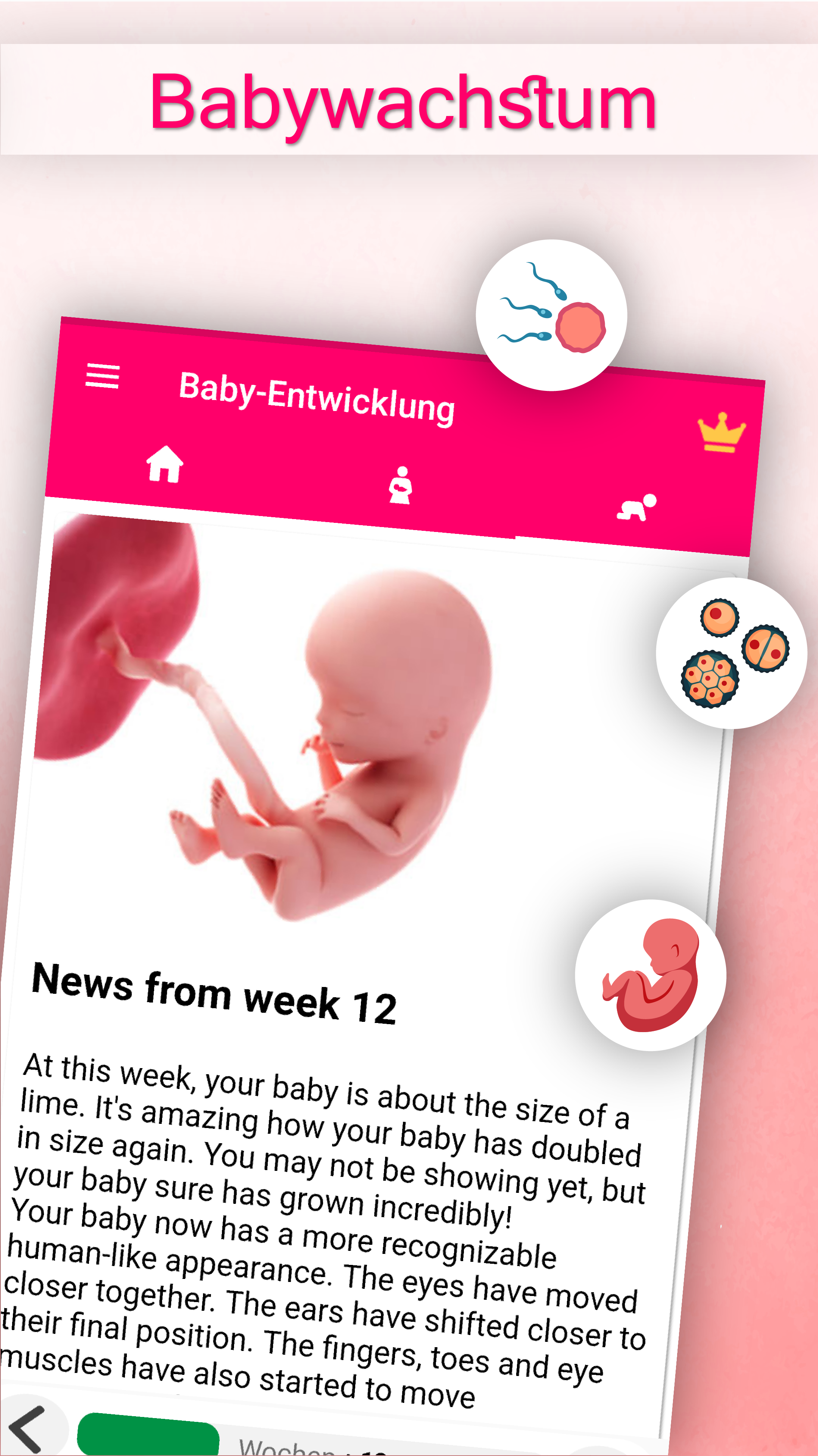 Schwangerschafts - SSW Rechner und Wochen Kalender APK 23.8 für Android  herunterladen – Die neueste Verion von Schwangerschafts - SSW Rechner und  Wochen Kalender APK herunterladen - APKFab.com