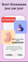 Calendrier Grossesse Hebdo Affiche