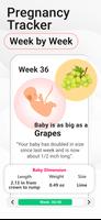 Pregnancy Calculator: Due Date ภาพหน้าจอ 1