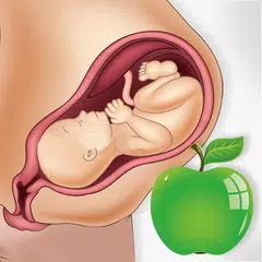 Pregnancy Tips Diet Nutrition Icon