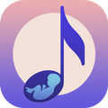 Pregnancy Music