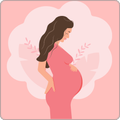 pregnancy calculator