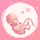 Trợ lý mẹ bầu. Theo dõi thai APK