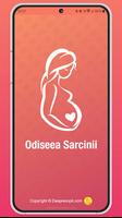 Odiseea Sarcinii, Sarcina ta plakat