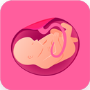 Pregnancy Psychic Prediction-APK