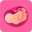 Pregnancy Psychic Prediction icône