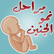 مراحل الحمل ونمو الجنين