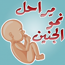 APK مراحل الحمل ونمو الجنين