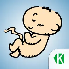 Беременность по неделям KLO APK Herunterladen