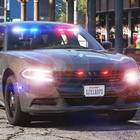 Police Car Simulator President آئیکن