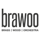 BRAWOO – Brass Wood Orchestra aplikacja