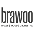 BRAWOO icône