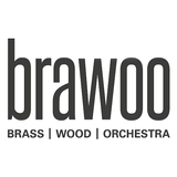 BRAWOO icon