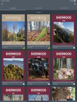 Sherwood-Foreste e Alberi Oggi Plakat