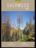Sherwood-Foreste e Alberi Oggi capture d'écran 1