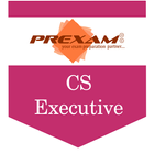 CS-Executive icon